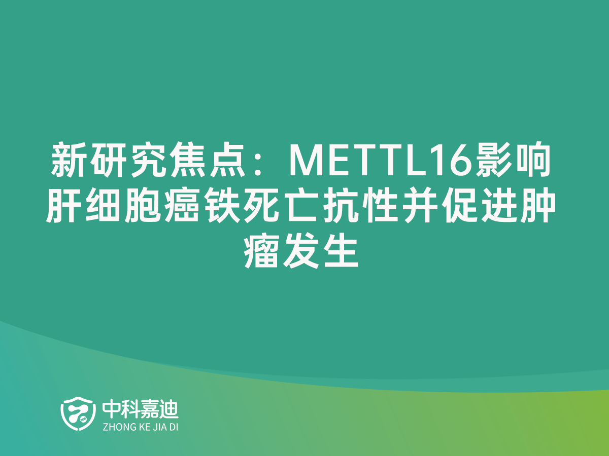 https://www.zkjiadi.cn/uploads/20250117/32f04bfc958a7203a290b59e6a475c93.png