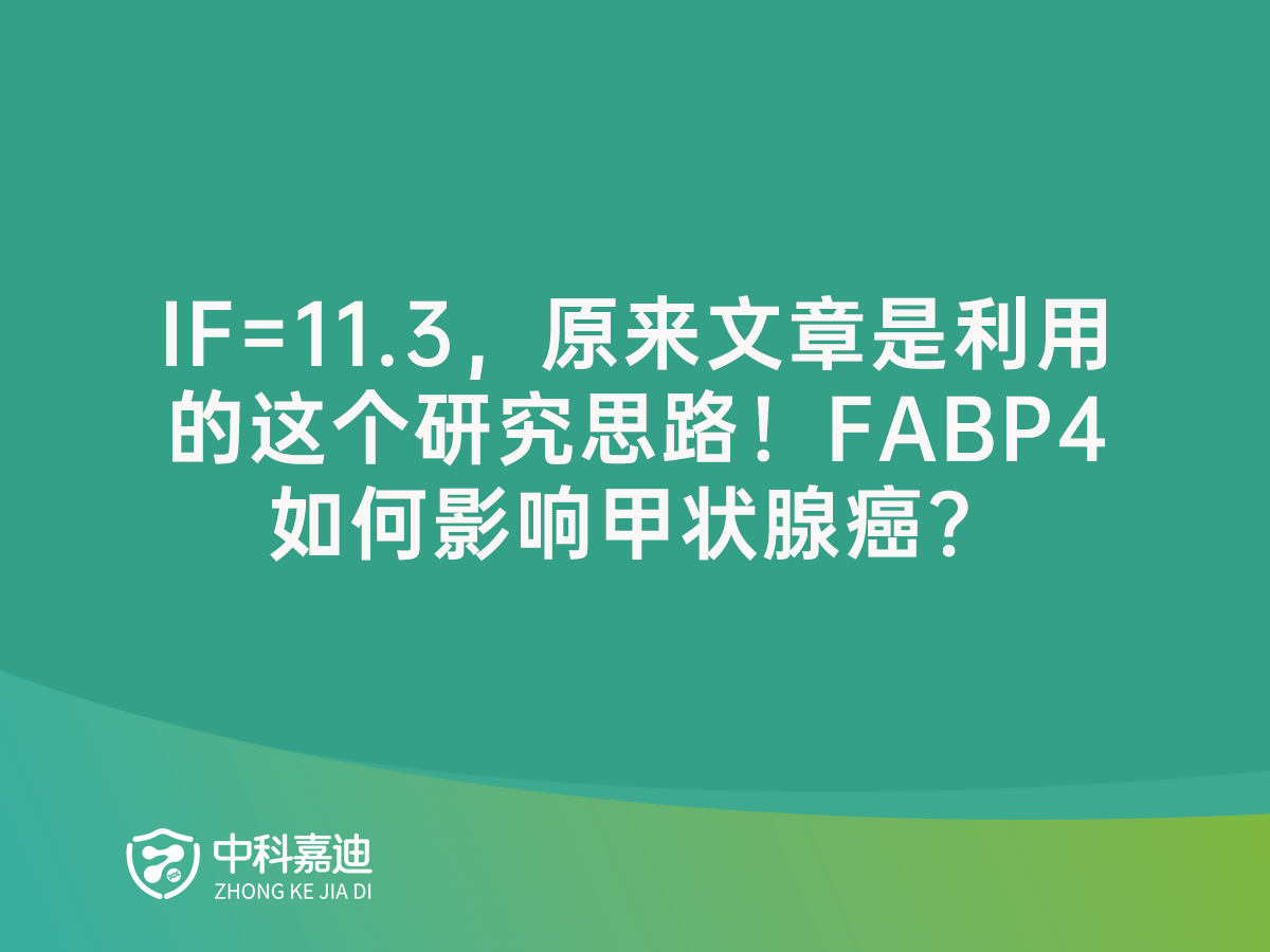 https://www.zkjiadi.cn/uploads/20250117/93422464dad0b095cea18e7a2da59427.png