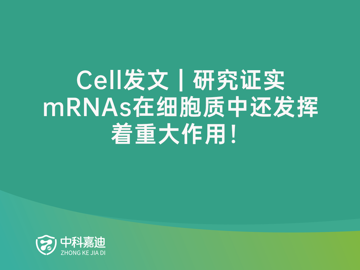 https://www.zkjiadi.cn/uploads/20250124/e5afa96929f0715e1ea5cc4c6af331bc.png